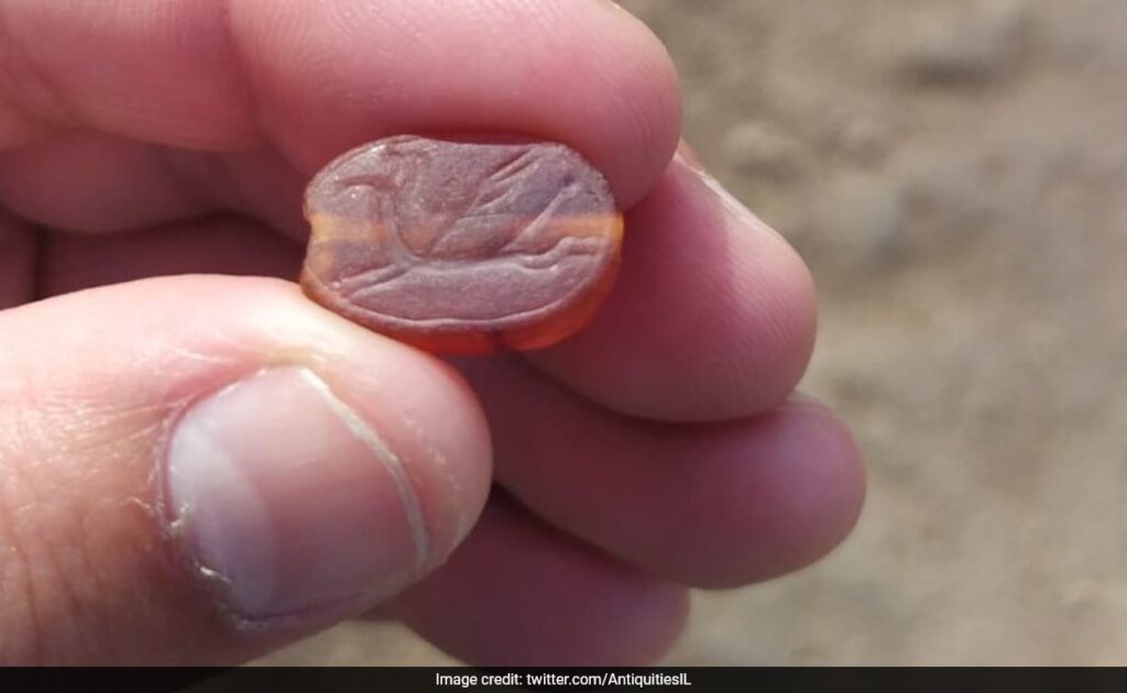 Israeli Man Finds 2,800-Year-Old Assyrian Scarab Amulet While Hiking