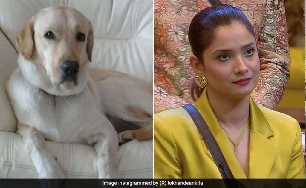 Ankita Lokhande’s Pet Dog, Gifted By Sushant Singh Rajput, Dies