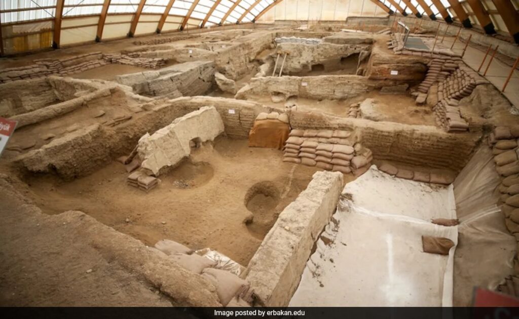 World’s Oldest Bread Found in Turkey, Dating Back 8,600 Years