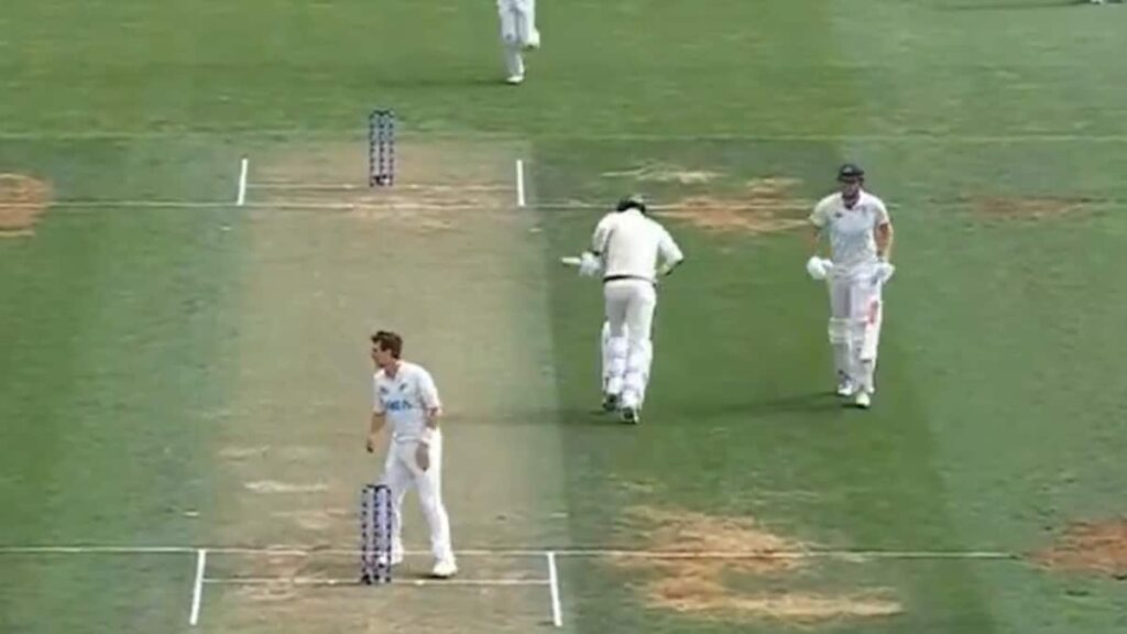 Commentator In Splits As Cameron Green-Josh Hazlewood’s Running Act Stuns New Zealand. Watch