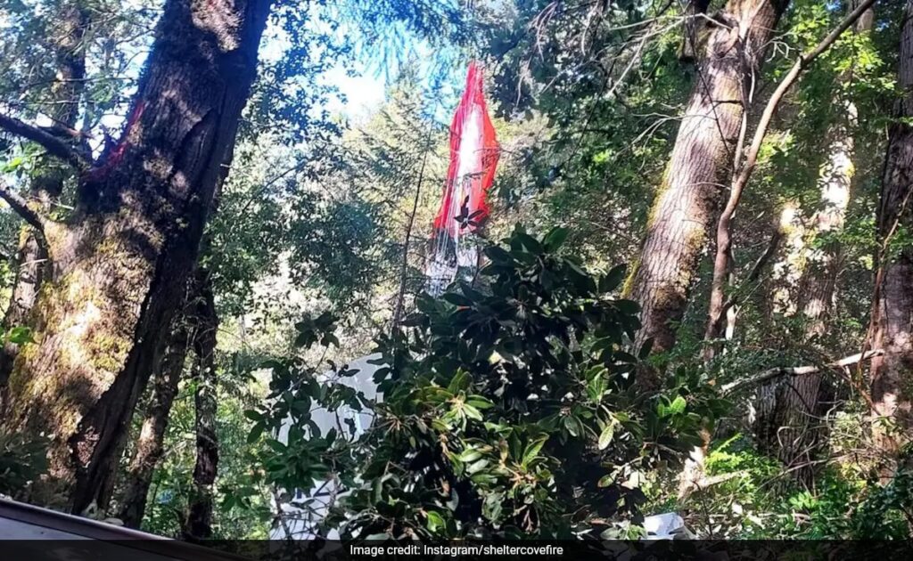 US Family Survives Plane Crash By Using Parachute To Slow Down Falling Aircraft